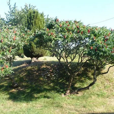 La Maison De Ners * Pertheville-Ners