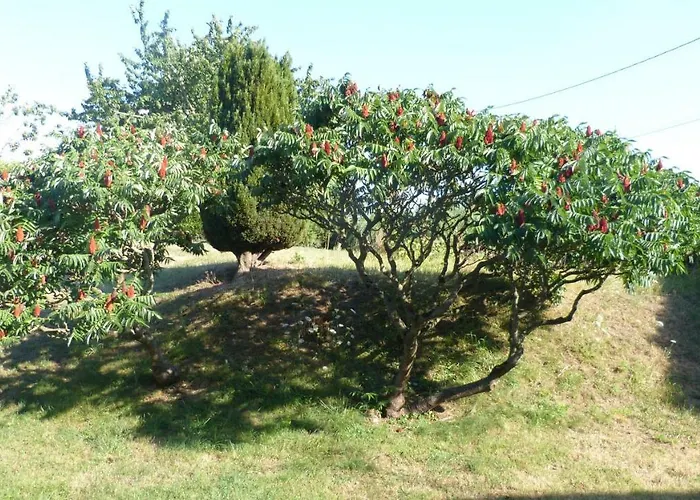 La Maison De Ners * Pertheville-Ners